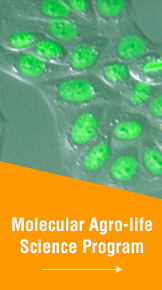 Molecular Agro-life Science Program