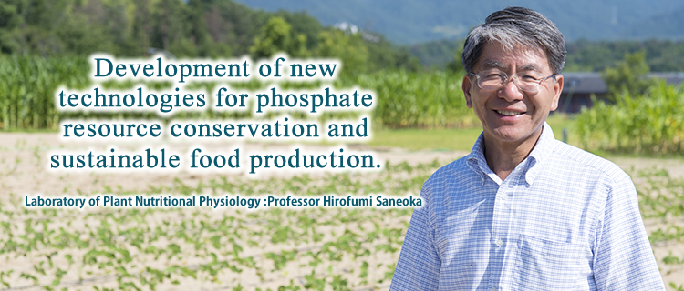 Development of new technologies for phosphate resource conservation and sustainable food production.