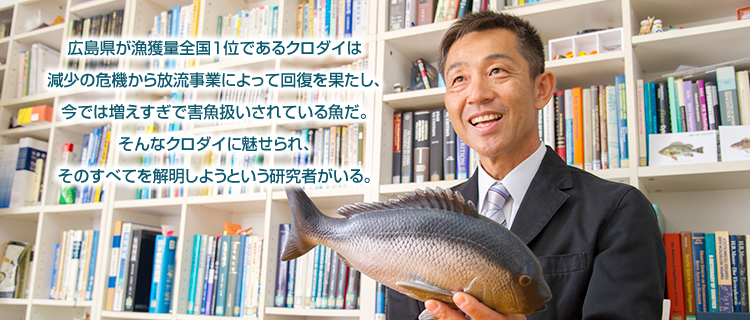 広島県が漁獲量全国１位であるクロダイは減少の危機から放流事業によって回復を果たし、今では増えすぎで害魚扱いされている魚だ。そんなクロダイに魅せられ、そのすべてを解明しようという研究者がいる。