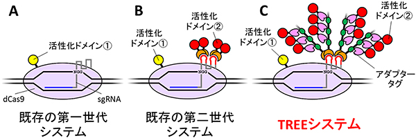 図4／既存の遺伝子活性化システム（第一世代・第二世代）とTREEシステムの模式図