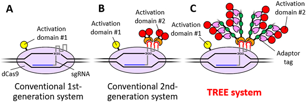 Fig 4: Schematic of conventional 1st- and 2nd-generation gene activation systems and TREE system