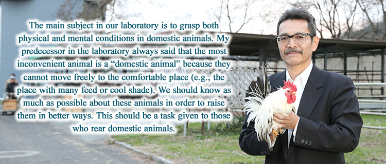 The main subject in our laboratory is to grasp both physical and mental conditions in domestic animals. My predecessor in the laboratory always said that the most inconvenient animal is a “domestic animal” because they cannot move freely to the comfortable place (e.g., the place with many feed or cool shade). We should know as much as possible about these animals in order to raise them in better ways. This should be a task given to those who rear domestic animals.