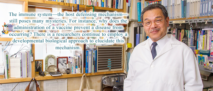 The immune system—the host defensing mechanism—still poses many mysteries. For instance, why does the administration of a vaccine prevent a disease from occurring? There is a researchers continue to employ a developmental biological approach to elucidate this mechanism.