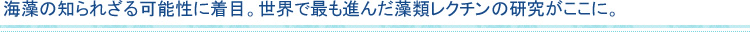 海藻の知られざる可能性に着目。世界で最も進んだ藻類レクチンの研究がここに。