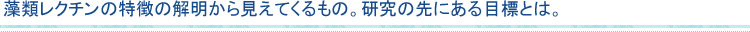 藻類レクチンの特徴の解明から見えてくるもの。研究の先にある目標とは。