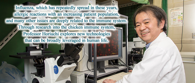 Influenza, which has repeatedly spread in these years, allergic reactions with an increasing patient population, and many other issues are deeply related to the immune system.
Through research into the chicken immune system, Professor Horiuchi explores new technologies that can be broadly leveraged in human life.