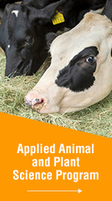 Applied Animal and Plant Science Program
