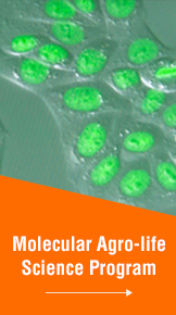 Molecular Agro-life Science Program