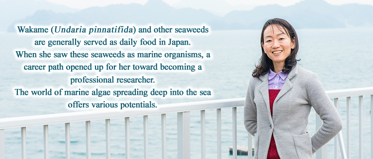 Wakame (Undaria pinnatifida) and other seaweeds are generally served as daily food in Japan.When she saw these seaweeds as marine organisms, a career path opened up for her toward becoming a professional researcher.The world of marine algae spreading deep into the sea offers various potentials.