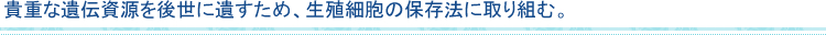 貴重な遺伝資源を後世に遺すため、生殖細胞の保存法に取り組む。