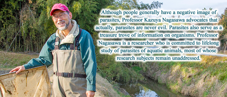 Although people generally have a negative image of parasites, Professor Kazuya Nagasawa advocates that actually, parasites are never evil. Parasites also serve as a treasure trove of information on organisms. Professor Nagasawa is a researcher who is committed to lifelong study of parasites of aquatic animals, most of whose research subjects remain unaddressed.