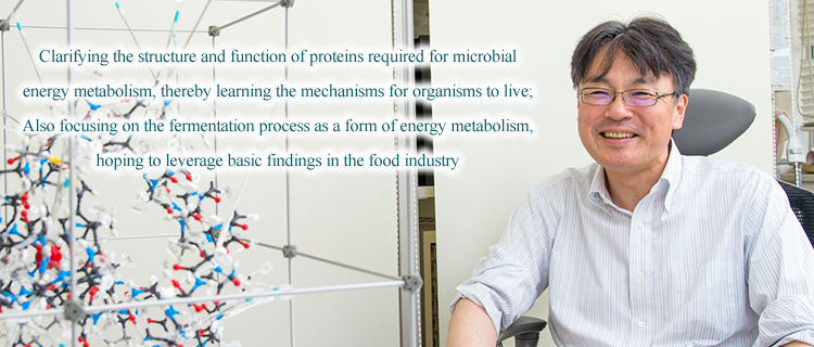 Clarifying the structure and function of proteins required for microbial energy metabolism, thereby learning the mechanisms for organisms to live; Also focusing on the fermentation process as a form of energy metabolism, hoping to leverage basic findings in the food industry