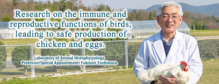 Yukinori Yoshimura /Animal Histophysiology