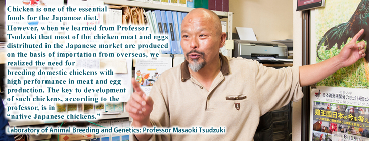 Masaoki Tsudzuki / Animal Breeding and Genetics