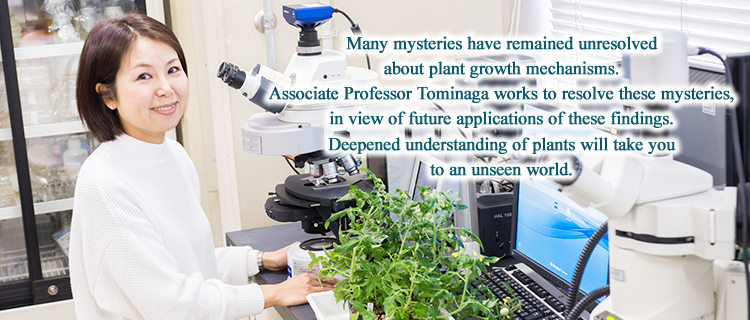 Many mysteries have remained unresolved about plant growth mechanisms.
Professor Tominaga works to resolve these mysteries, in view of future applications of these findings.
Deepened understanding of plants will take you to an unseen world.