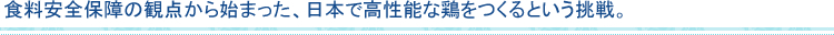 食料安全保障の観点から始まった、日本で高性能な鶏をつくるという挑戦。
