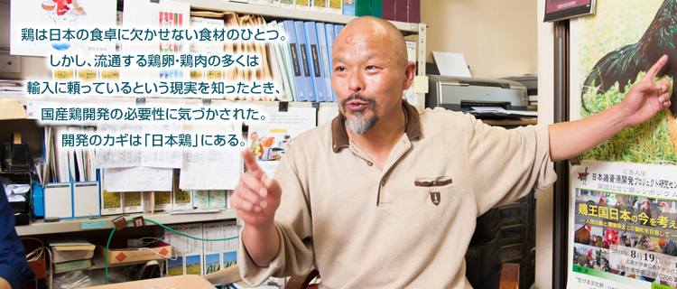 鶏は日本の食卓に欠かせない食材のひとつ。しかし、流通する鶏卵・鶏肉の多くは輸入に頼っているという現実を知ったとき、国産鶏開発の必要性に気づかされた。開発のカギは「日本鶏」にある。