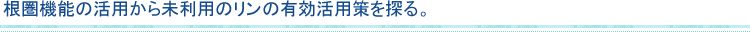 根圏機能の活用から未利用のリンの有効活用策を探る。