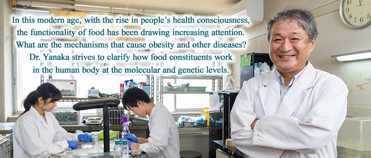 In this modern age, with the rise in people’s health consciousness, the functionality of food has been drawing increasing attention. What are the mechanisms that cause obesity and other diseases? Dr. Yanaka strives to clarify how food constituents work in the human body at the molecular and genetic levels.