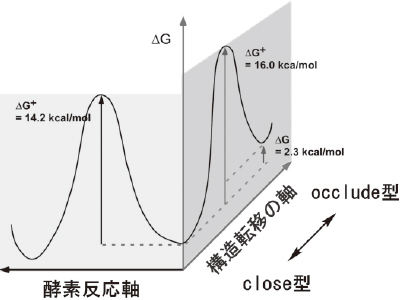 研究を語る | 分子生物物理学研究室 楯真一教授