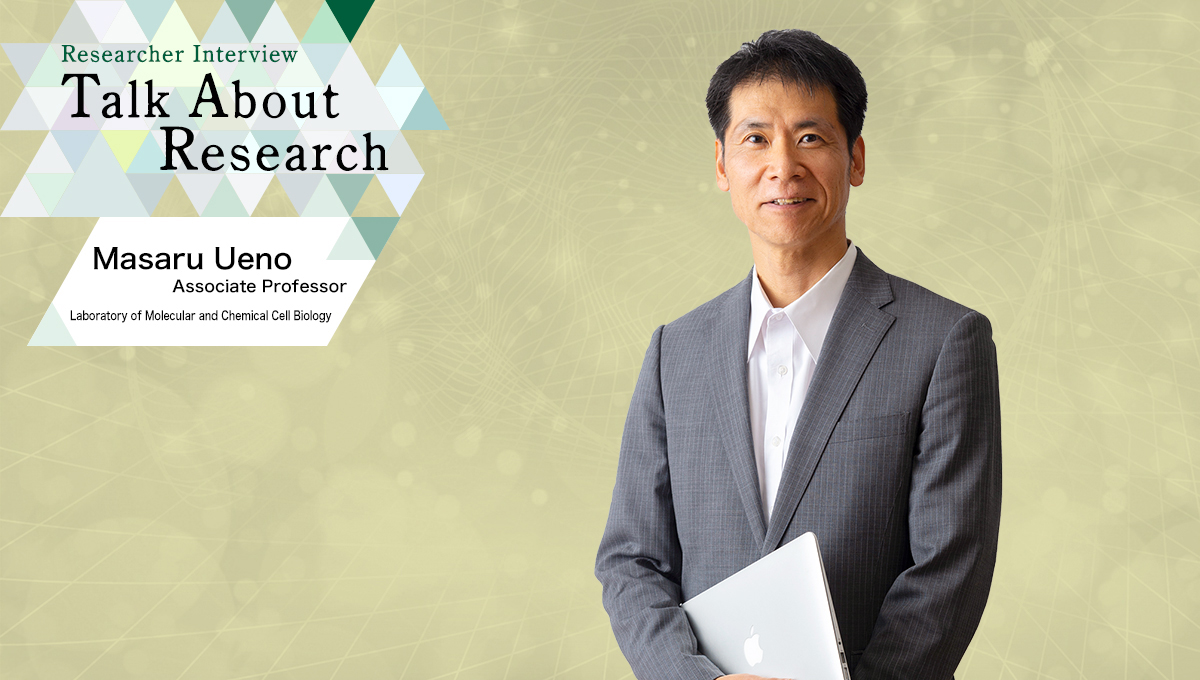 Researcher Interview　Talk About Research　Laboratory of Molecular and Chemical Cell Biology　Masaru Ueno, Associate Professor