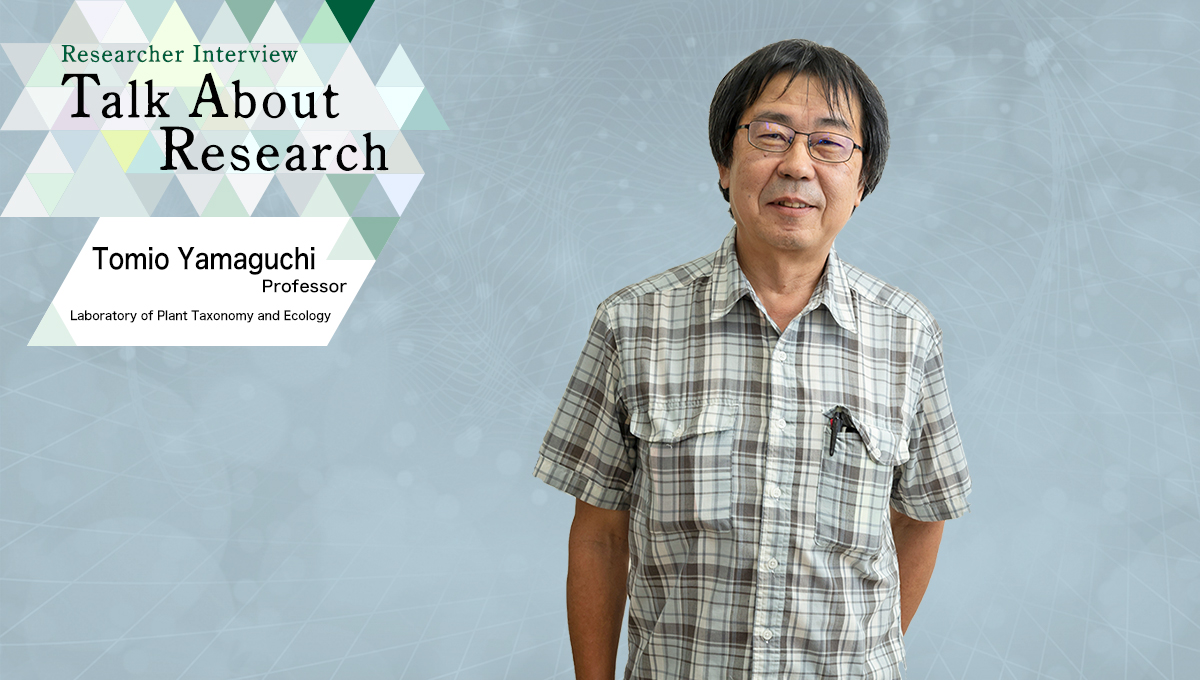 Researcher Interview　Talk About Research　Laboratory of Plant Taxonomy and Ecology　Tomio Yamaguchi, Professor