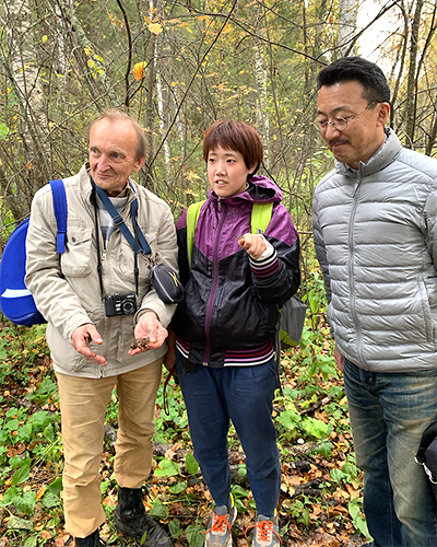 Frog survey conducted in Russia in 2019