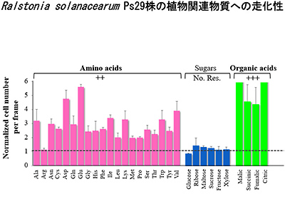 Fig. 3: Chemotactic responses of Ralstonia solanacearum to various kinds of chemicals