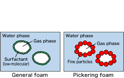 
						Fig. 3: Structural comparison of Pickering foam and general foam
Swelling mechanisms of gluten-free 100% rice-flour bread
Interfacial stability between water and bubbles
