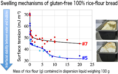 Fig. 4: It is important that rice flour adequately reduces the surface tension of the dispersion aqueous solution.