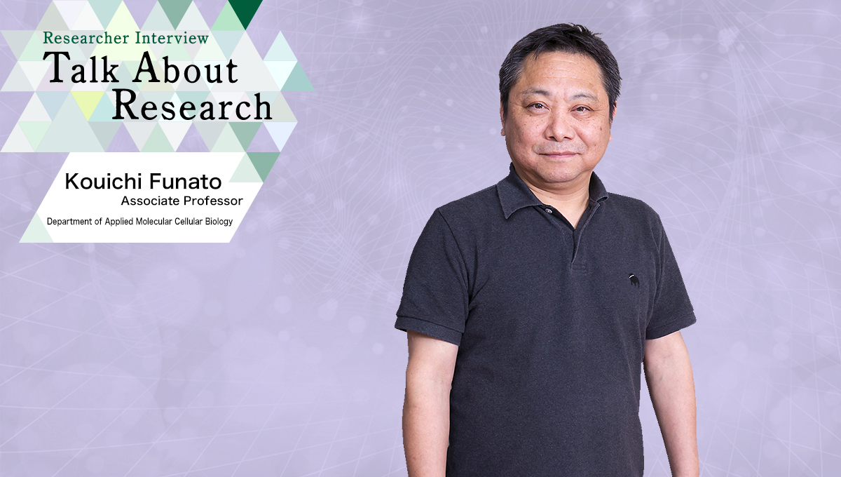 Researcher Interview　Talk About Research　Department of Applied Molecular Cellular Biology　Kouichi Funato, Associate Professor