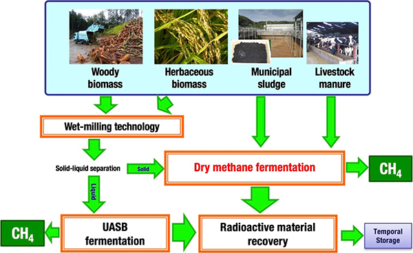 Fig. 2: Volume reduction and conversion into biomass energy of biomass from areas known to be contaminated with radioactive materials.