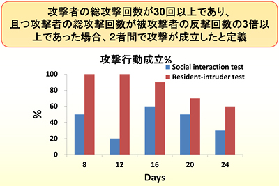 Resident–intruder testとSocial interaction testによる攻撃行動成立割合