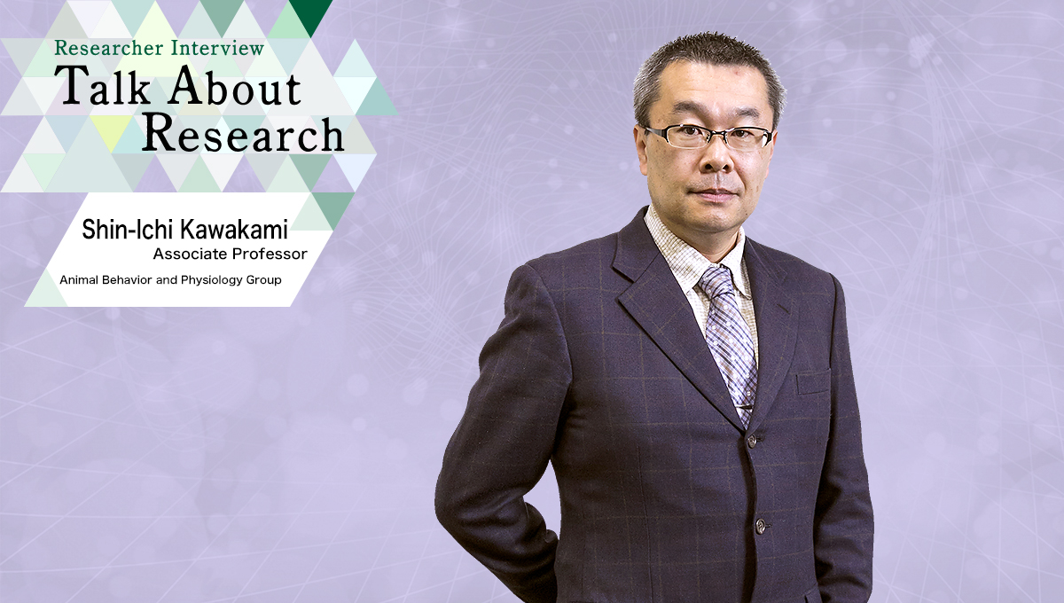 Researcher Interview　Talk About Research　Animal Behavior and Physiology Group　Shin-Ichi Kawakami, Associate Professor