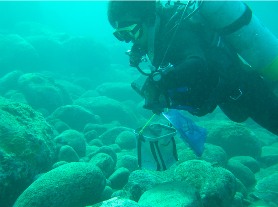 Satoshi Tomano in the sea